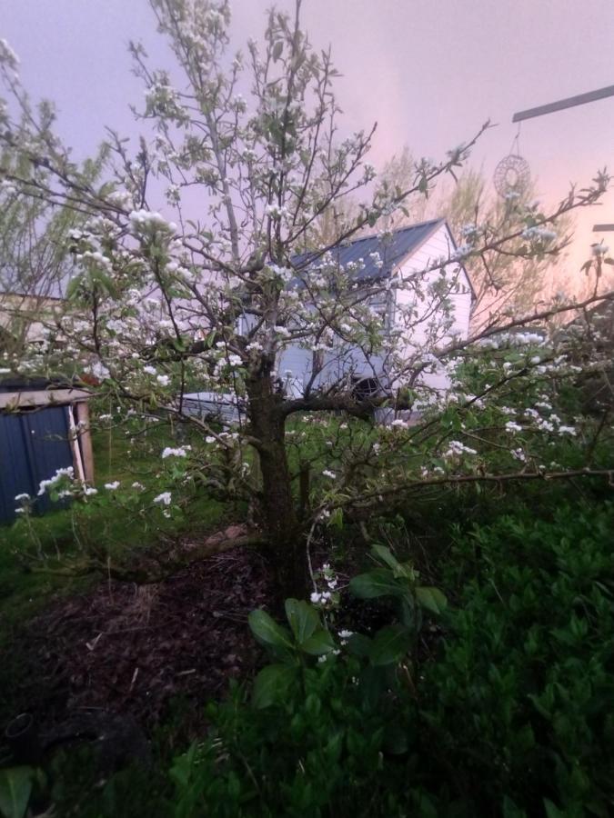 Tuinhuisje In Het Groen Almere Kültér fotó