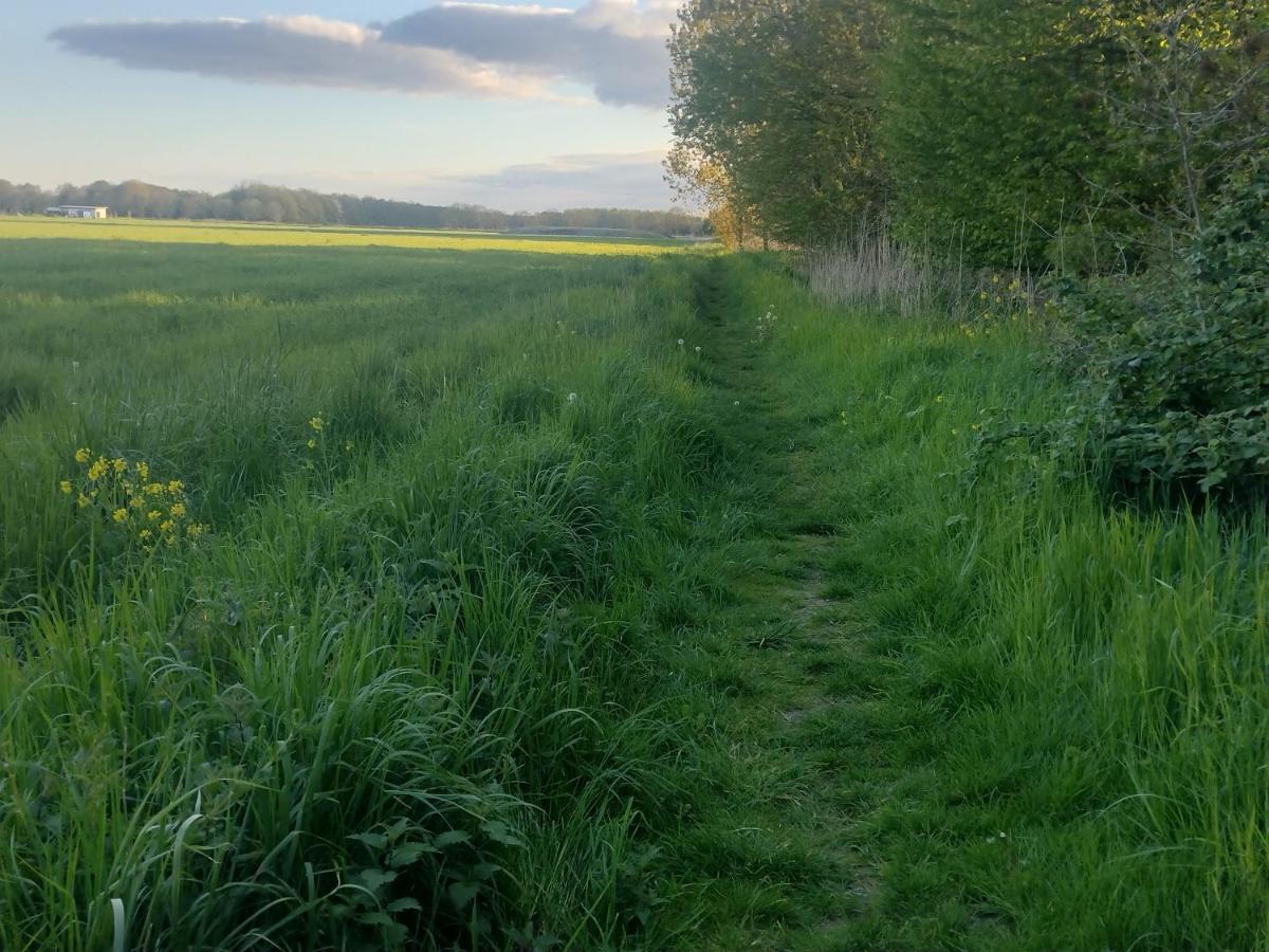 Tuinhuisje In Het Groen Almere Kültér fotó