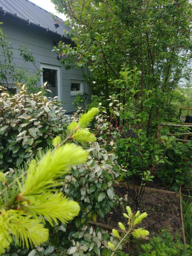 Tuinhuisje In Het Groen Almere Kültér fotó