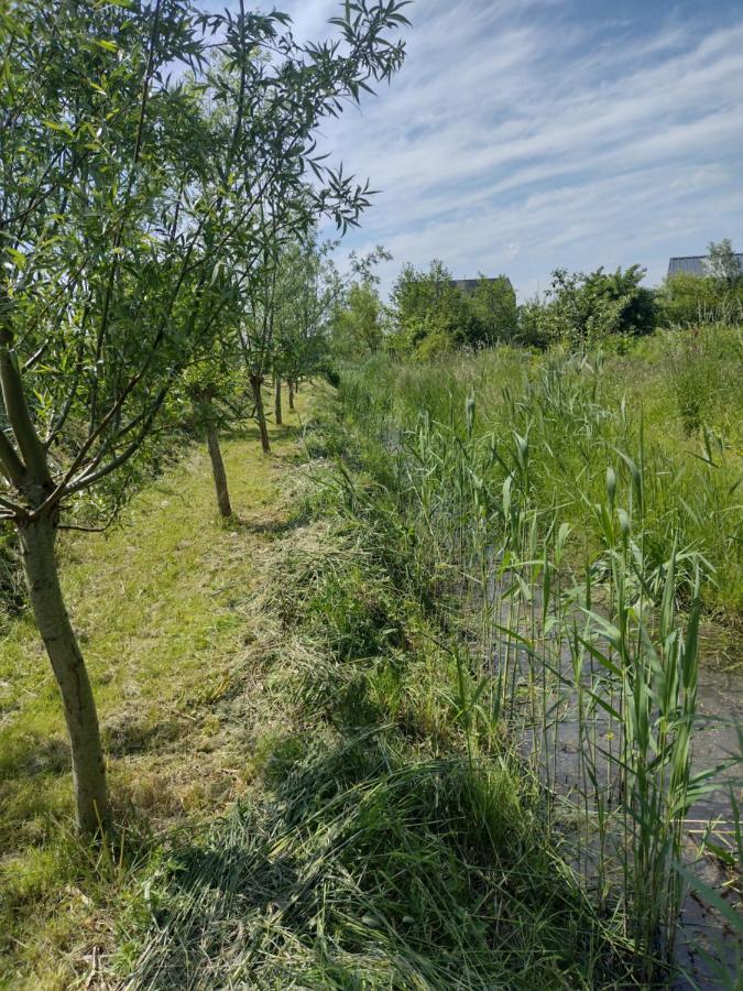 Tuinhuisje In Het Groen Almere Kültér fotó