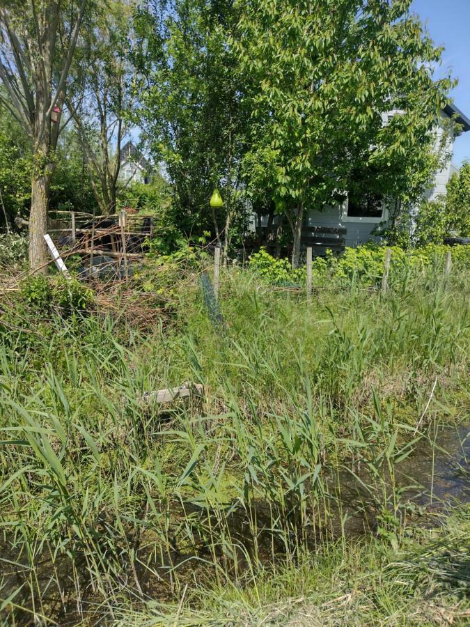 Tuinhuisje In Het Groen Almere Kültér fotó